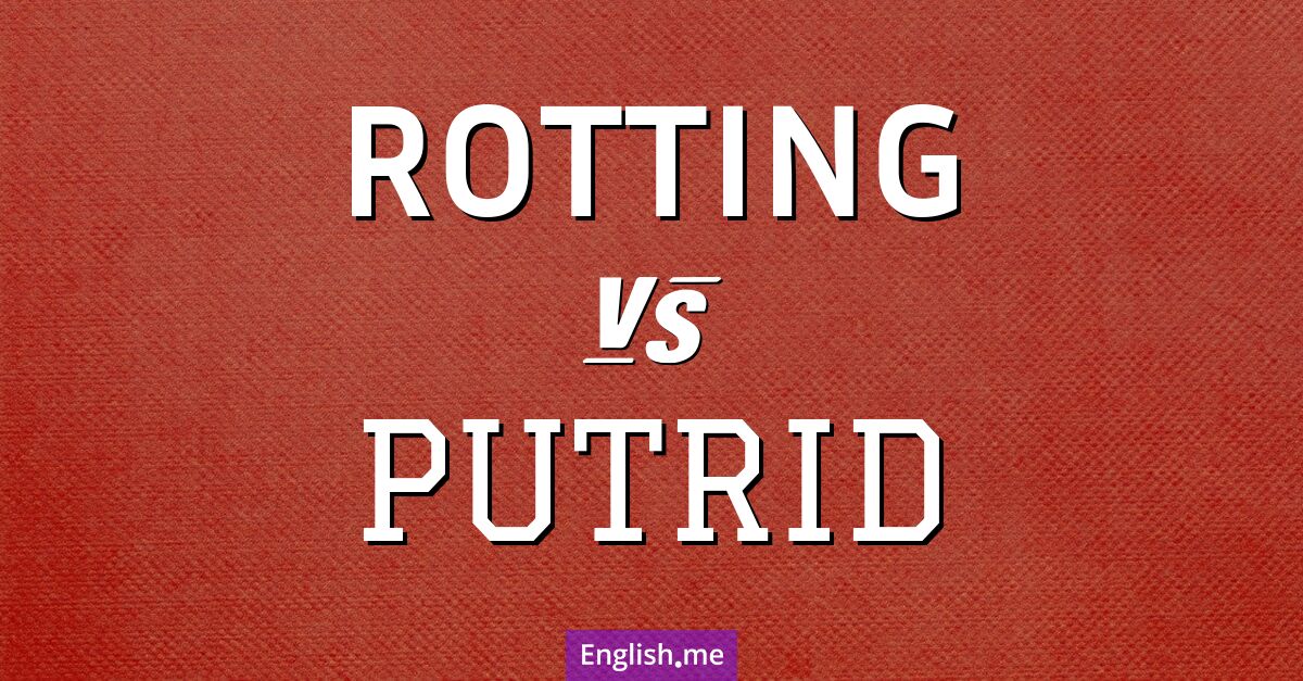 "Rotting" (descomponiéndose) contra "Putrid" (putrefacto)