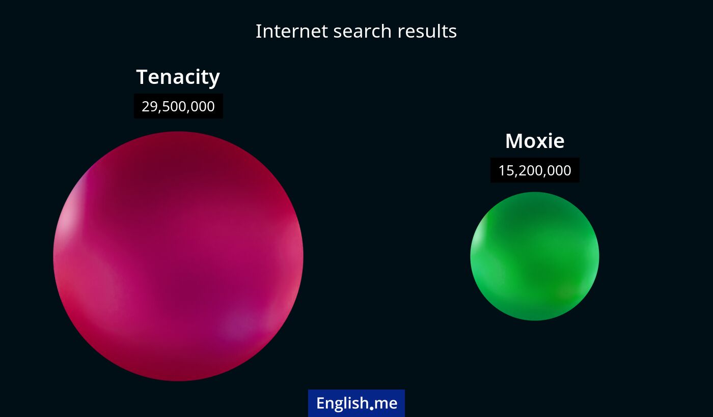 Internet search results for tenacity) and moxie