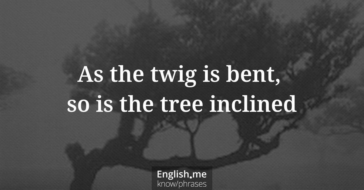 Explicando &#8220;As the twig is bent, so is the tree inclined&#8221;